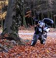 DSC_3775_vyrez_1