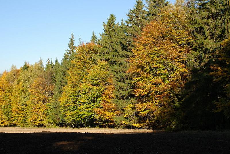 DSC_3112.JPG