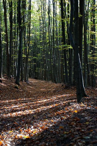 DSC_3159.JPG