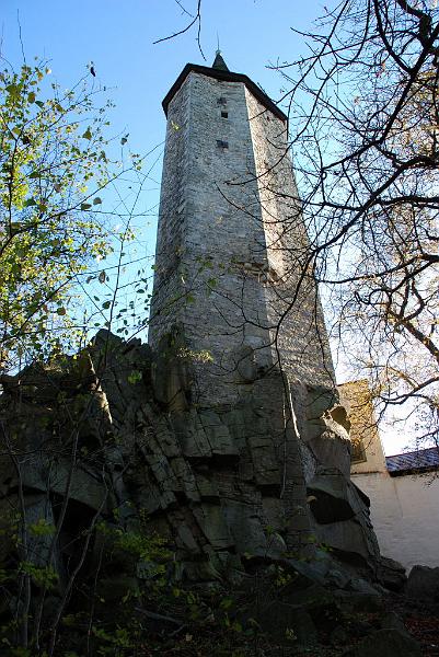 DSC_3167.JPG
