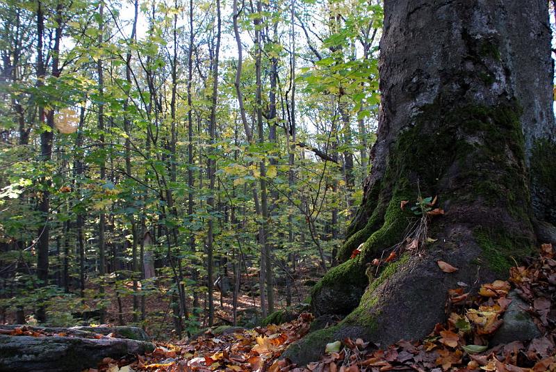 DSC_3191.JPG