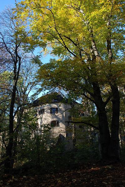 DSC_3193.JPG