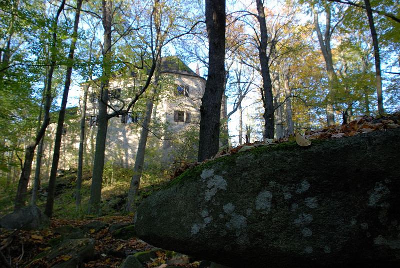 DSC_3206.JPG