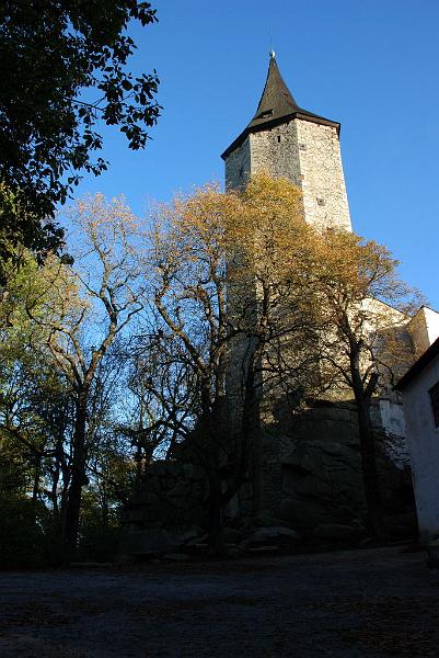 DSC_3221.JPG