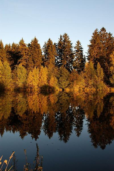 DSC_3267.JPG