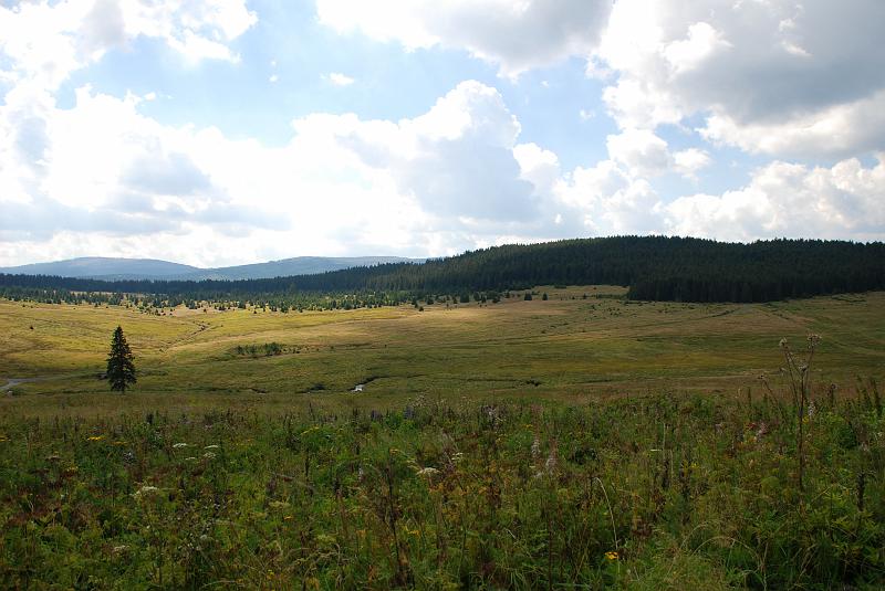 DSC_0214009.JPG