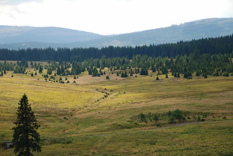 DSC_0217011.JPG