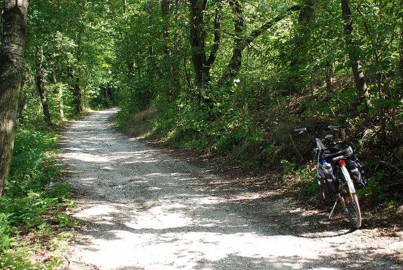 DSC_0350022.JPG