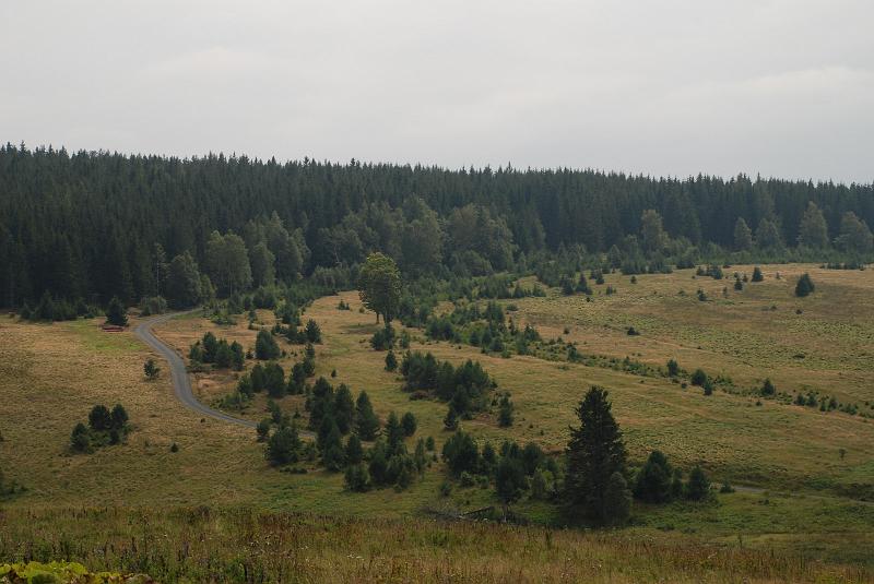 DSC_0619032.JPG