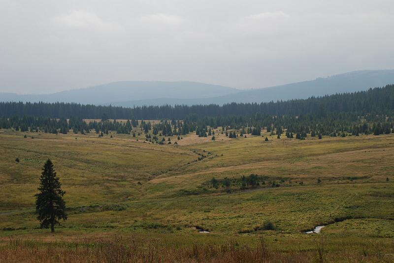 DSC_0621033.JPG