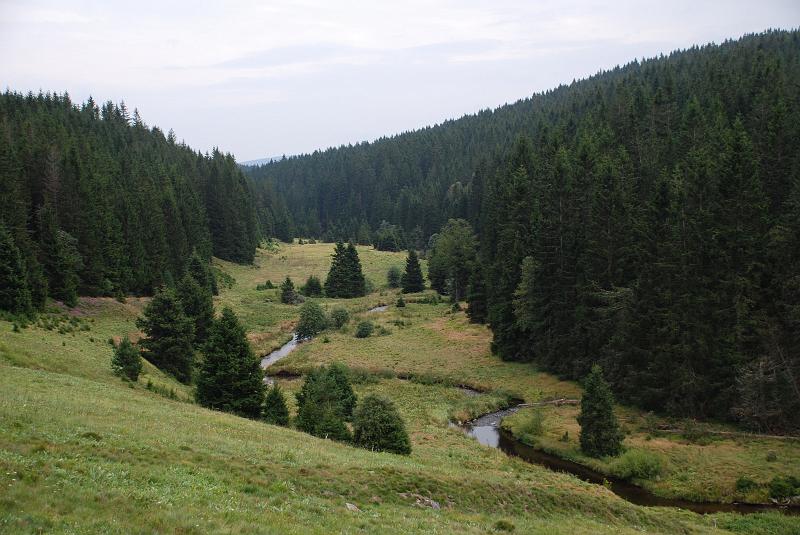 DSC_0639034.JPG