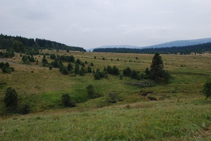 DSC_0658035.JPG