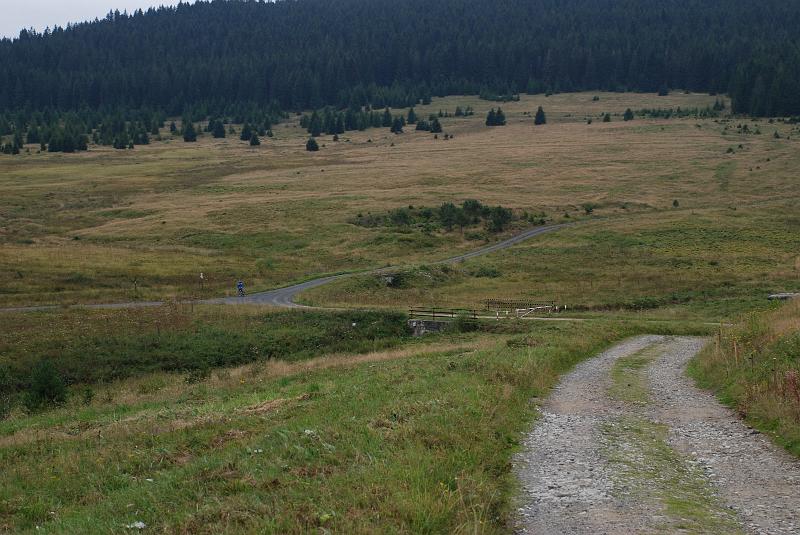 DSC_0659036.JPG