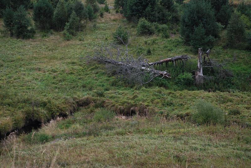 DSC_0662037.JPG