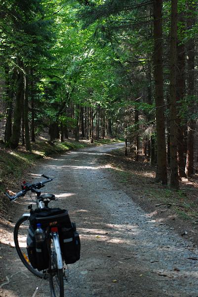 DSC_0821042.JPG