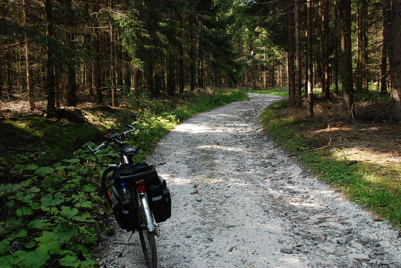 DSC_0825043.JPG