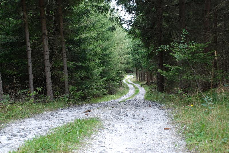 DSC_0853045.JPG