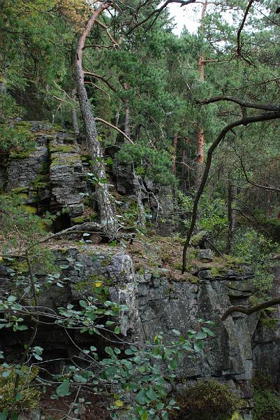DSC_0881047.JPG