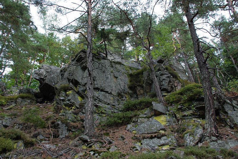 DSC_0882048.JPG