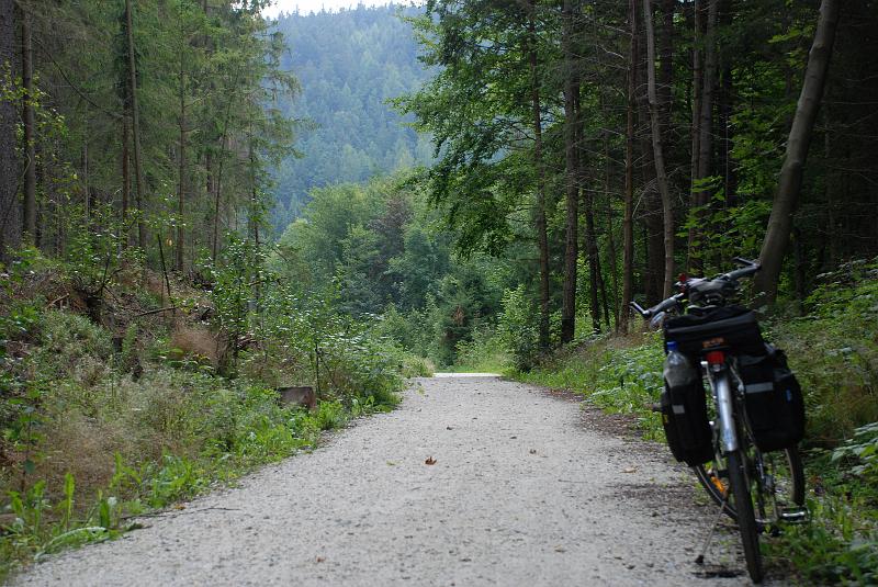 DSC_0908052.JPG