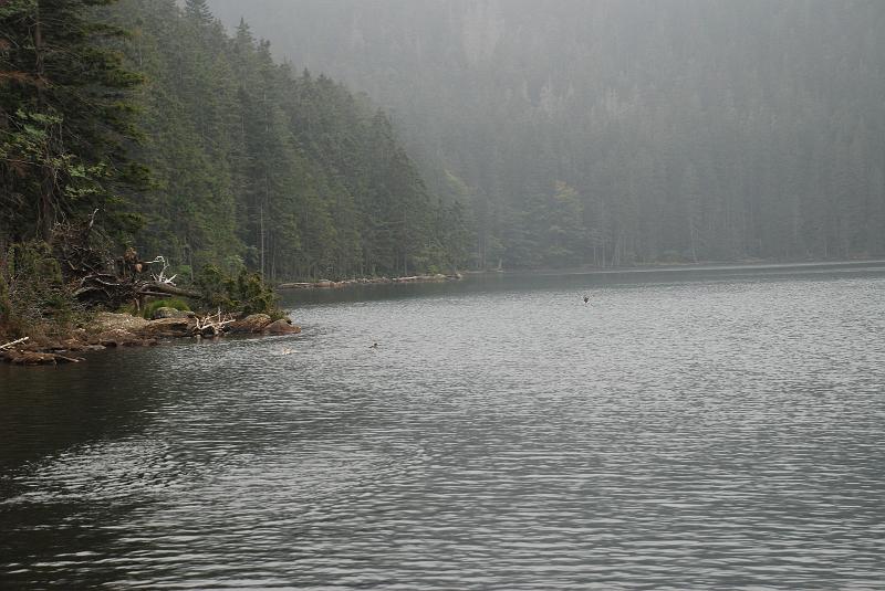 DSC_1031064.JPG