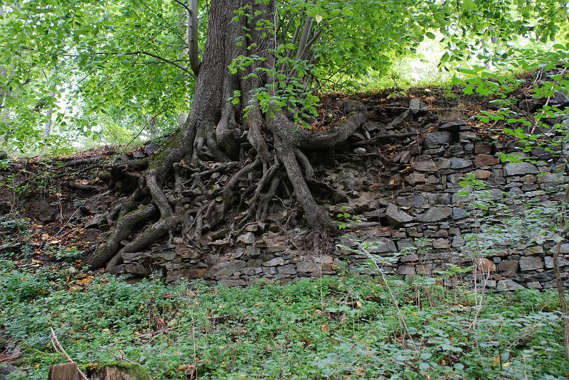 DSC_1068068.JPG