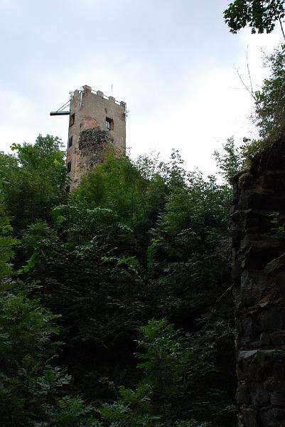 DSC_1128072.JPG