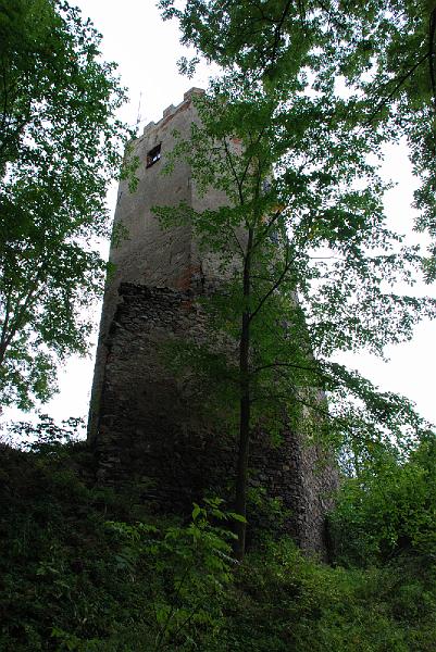 DSC_1141073.JPG