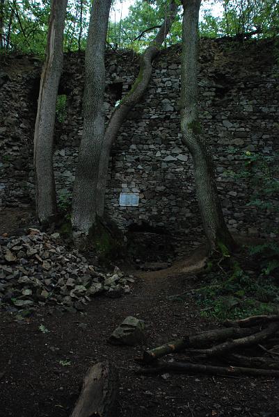 DSC_1275081.JPG