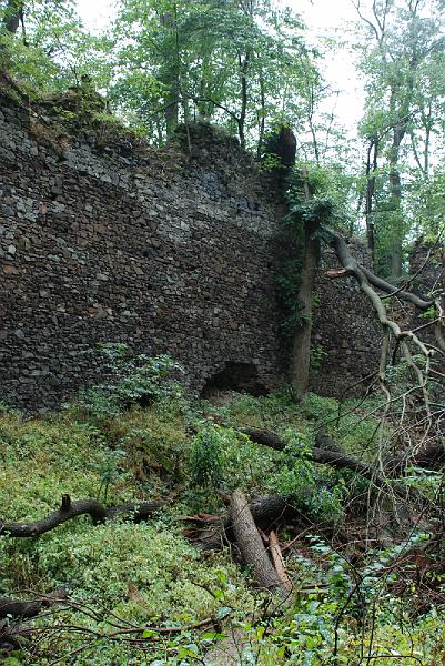 DSC_1351089.JPG