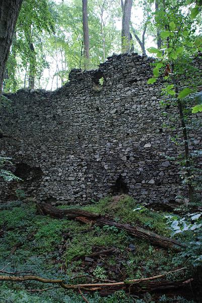 DSC_1371003.JPG