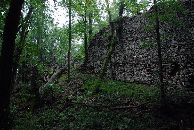 DSC_1375005.JPG