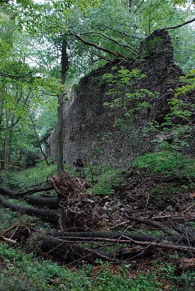 DSC_1377007.JPG