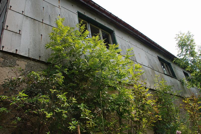 DSC_1415091.JPG