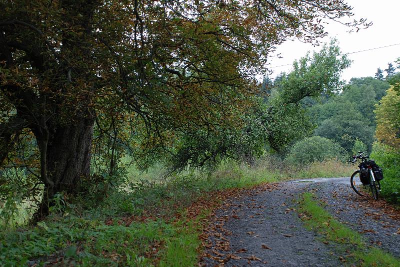 DSC_1448095.JPG