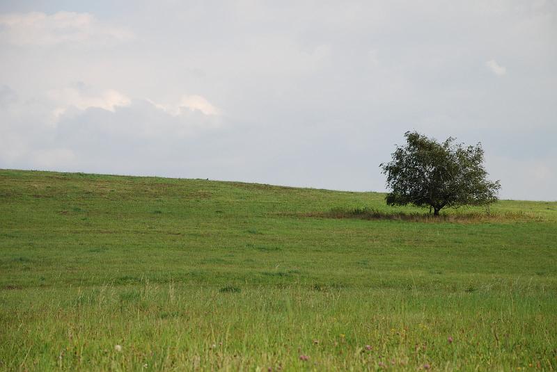 DSC_1502102.JPG