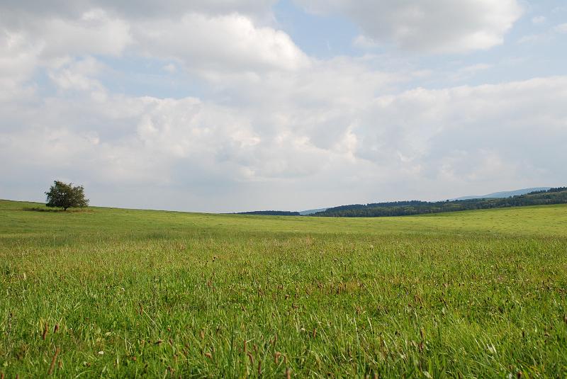 DSC_1507103.JPG
