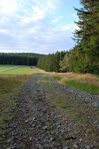DSC_1656115.JPG