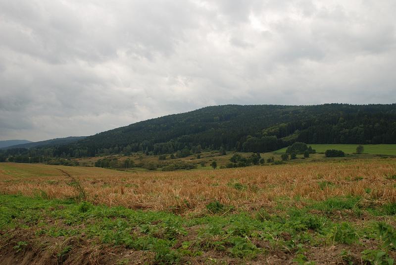 DSC_1733122.JPG