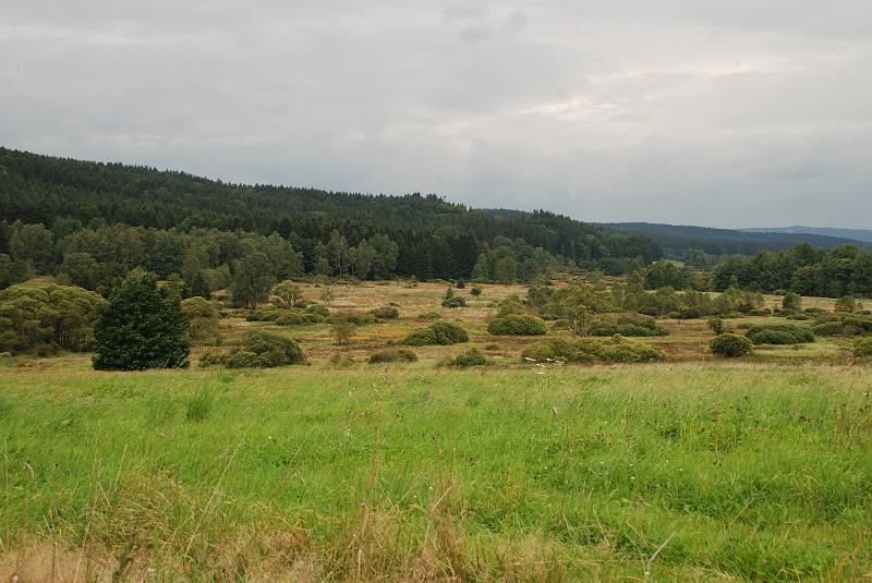 DSC_1741125.JPG