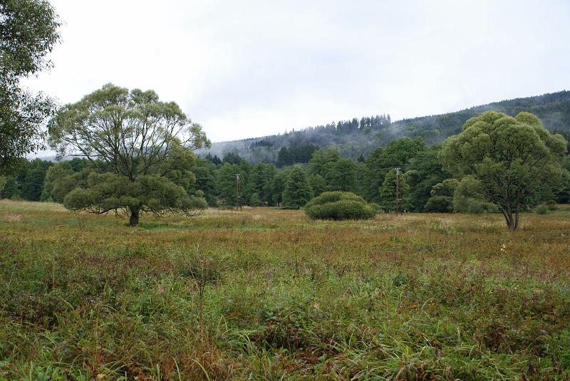 DSC_1838130.JPG
