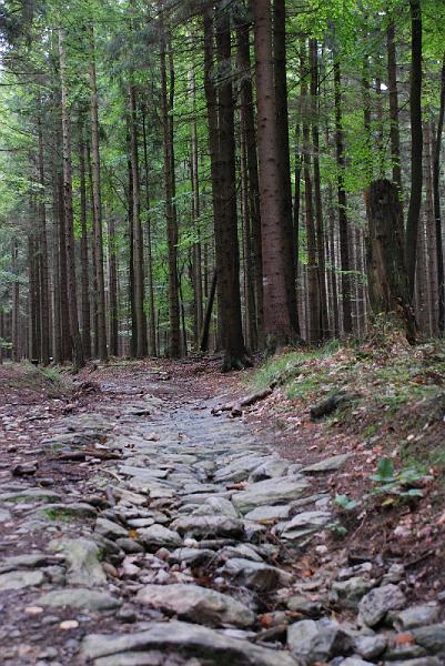 DSC_1912135.JPG