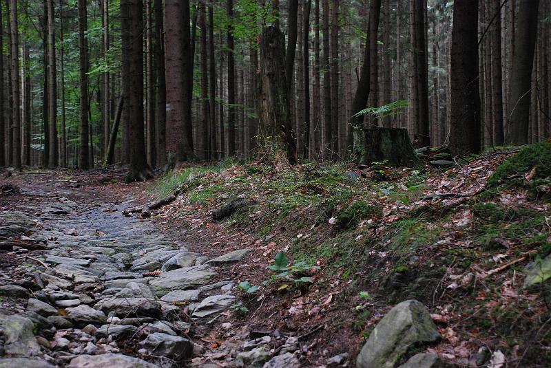 DSC_1917136.JPG
