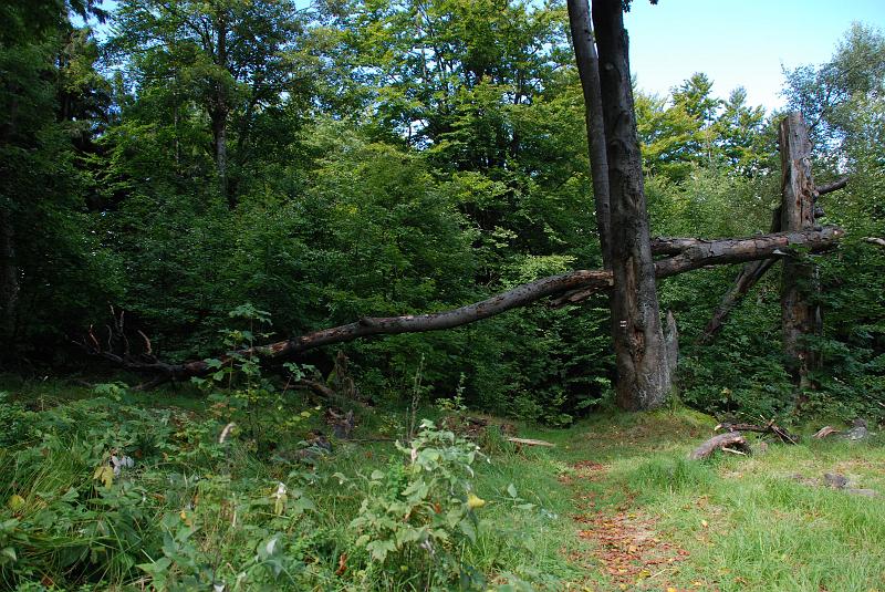 DSC_1992140.JPG