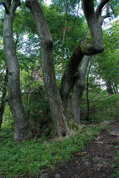 DSC_2059144.JPG