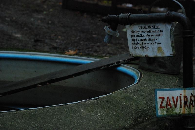 DSC_2717218.JPG