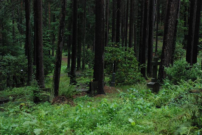 DSC_2728220.JPG