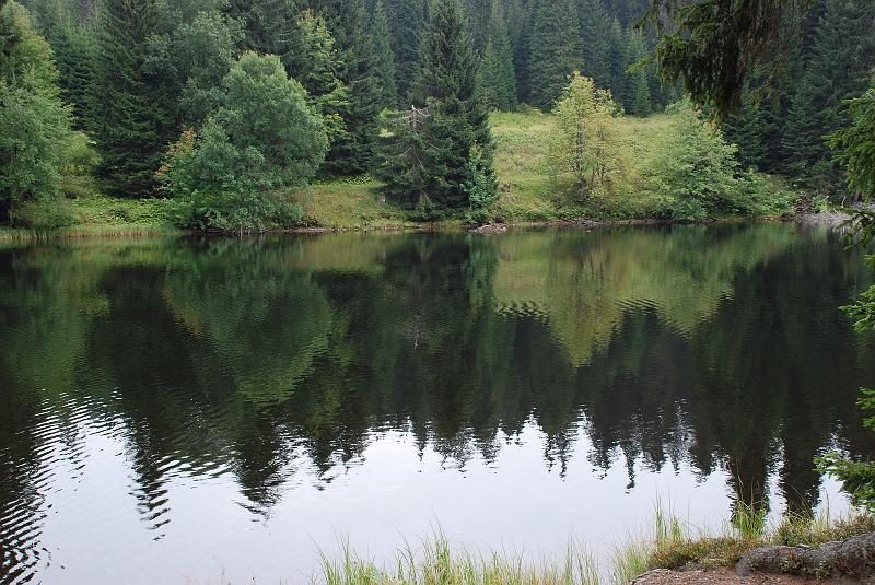 Jezero_Laka1186.JPG