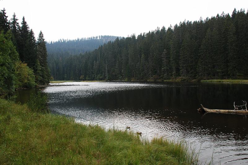 Jezero_Laka185.JPG