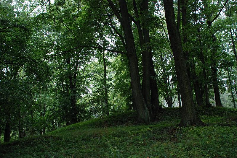l_01192.JPG